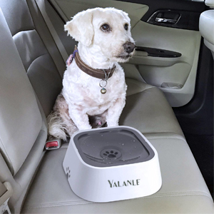 Dog Water Bowl