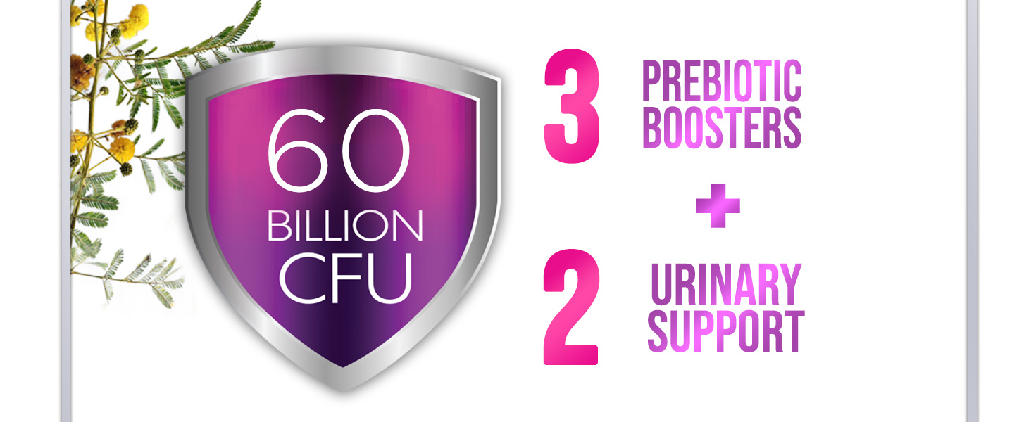 lactobacillus mujer ph prebiotic prebiotico probiotic