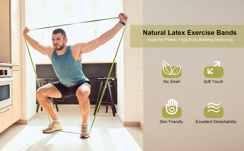 VEICK Resistance Bands, Pull Up Assistance Bands, Workout Exercise