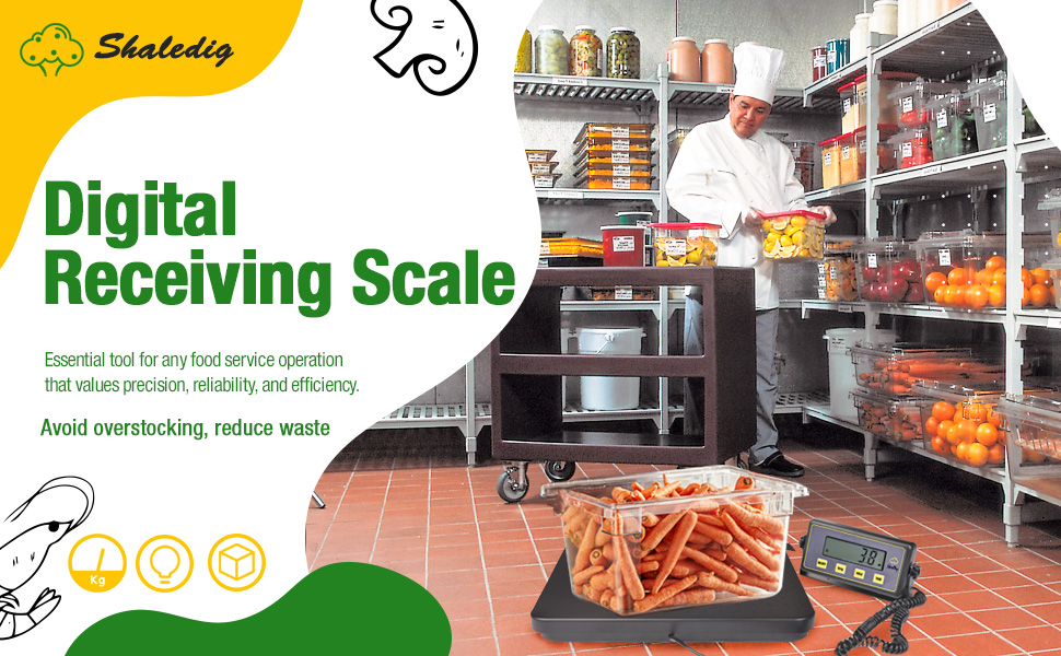 Digital Receiving Scale