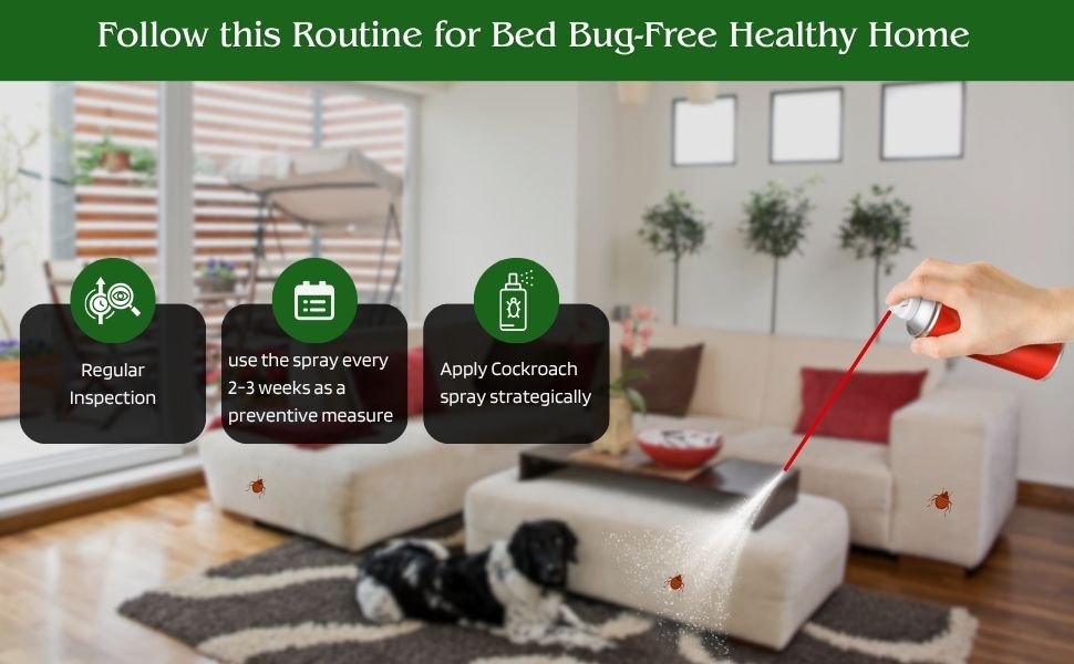 Healthy Home