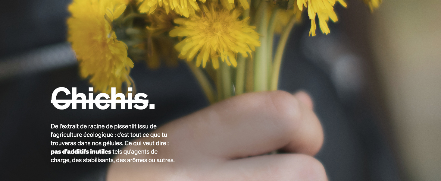 Fleurs de pissenlit jaunes tenues à la main sur un fond flou. Texte partiellement visible en haut, contenu peu clair.