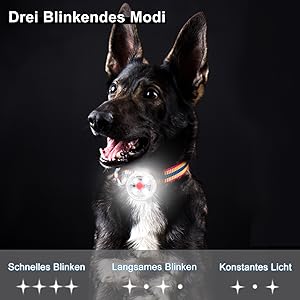 Fttouuy LED Blinklicht für Hunde, Katzen - USB Wiederaufladbar LED Licht Leuchtanhänger Hund