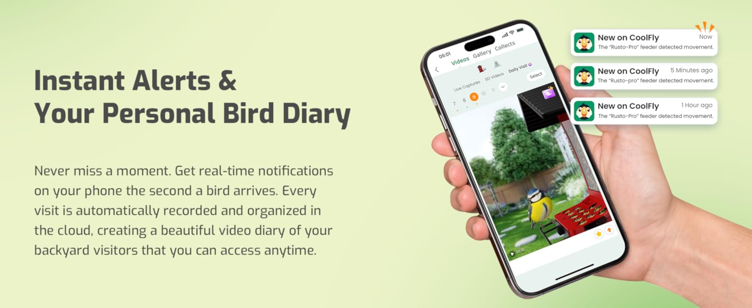 bird feeder with camera with ai identify bird species