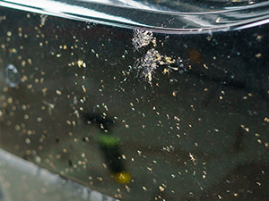 Small manufacture image 1