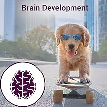 Bowlers Nutrimax Dry Dog Food, Dry Puppy Food, Promotes Brain & Vision Development, Optimum Growth