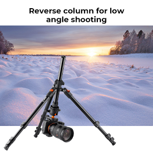 disparo de ángulo bajo