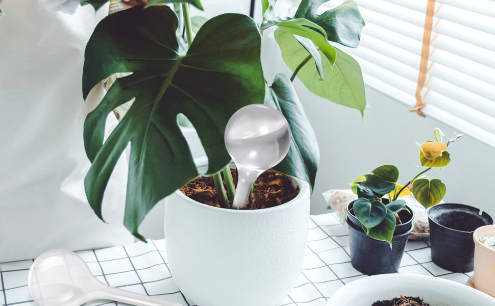 Plant Self-Watering Waterers Devices 
