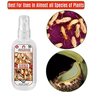 Small manufacture image 4