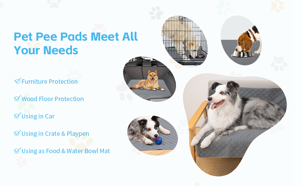 Casa Paw Washable Pee Pads for Dogs, Fast Absorbent