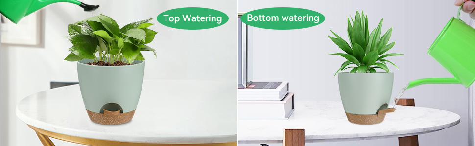 self watering plant pot