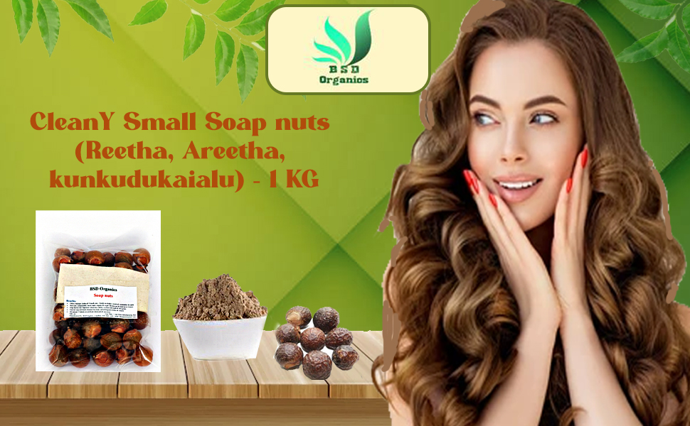 Buy Eco Me Soap nuts (Reetha, Areetha, kunkudukaialu) 1 kg (free
