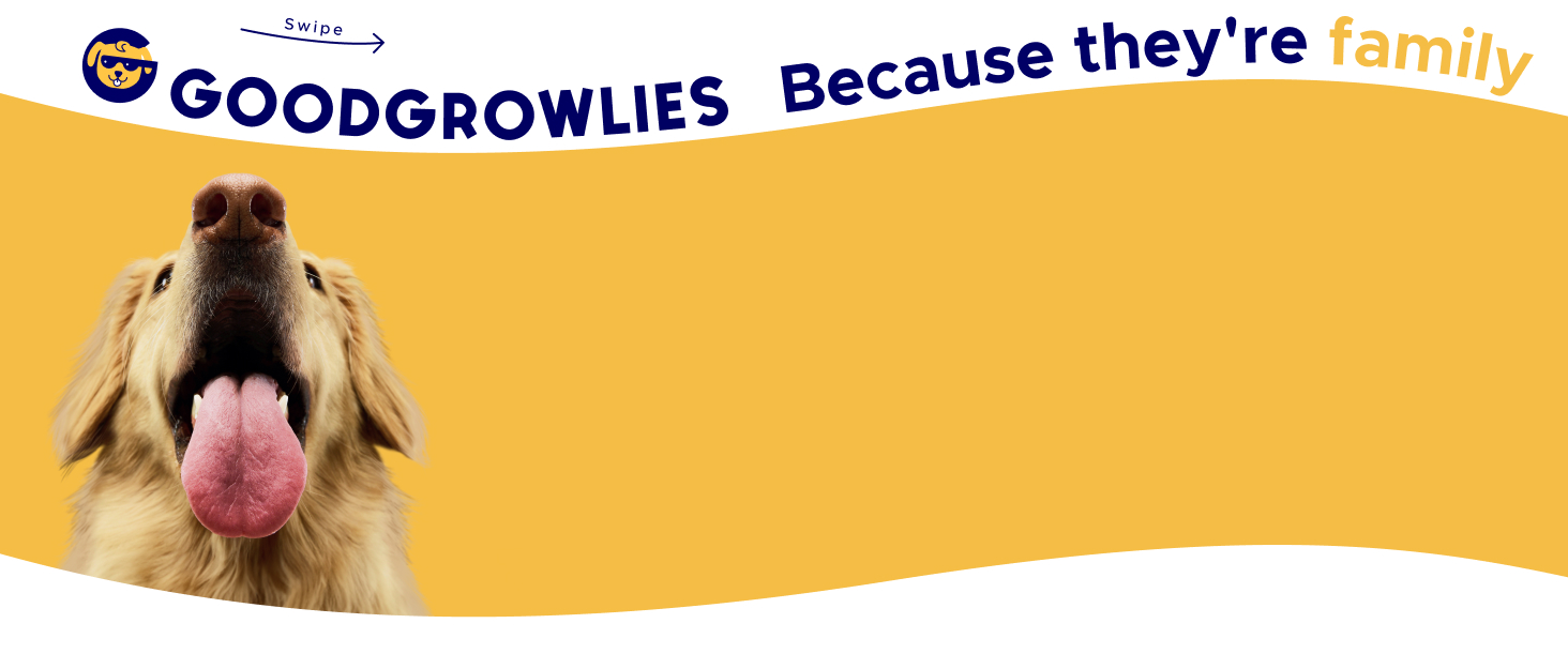 GG-013 omega chews listing brand story