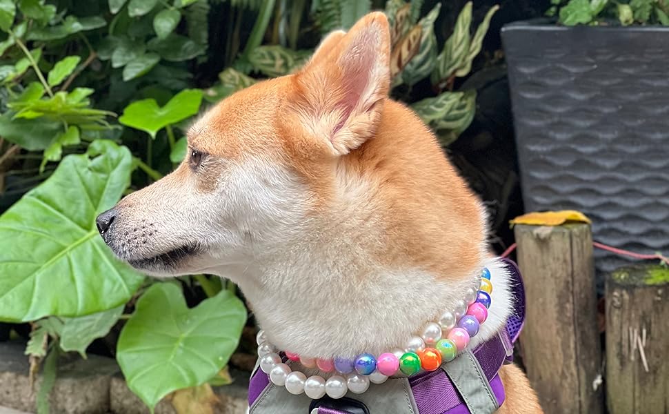 high-quality, durable, comfortable, statement