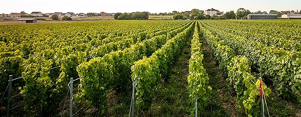 Small manufacture image 5