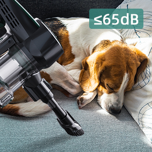 staubsauger beutellos kabellos