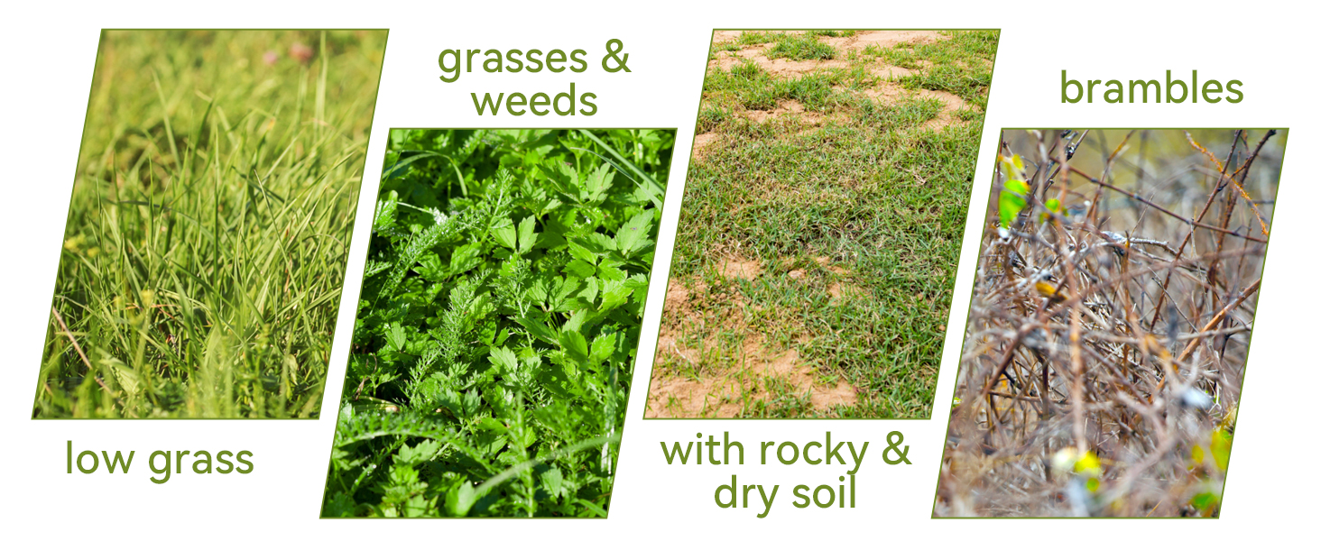 Heavy Duty Round String Trimmer Line