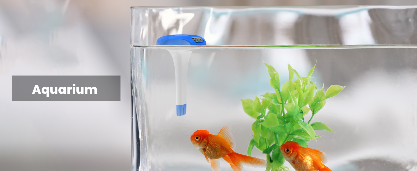 Pool-Thermometer 122