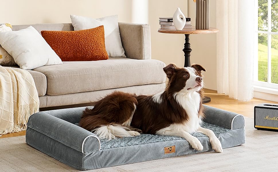 dog bed