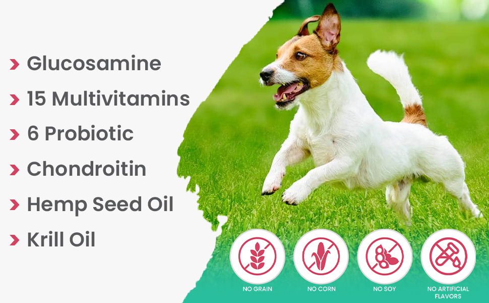 dog vitamins dog multivitamin glucosamine dog