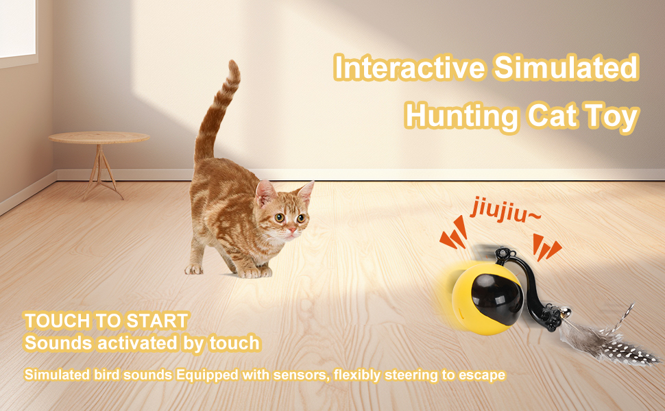 cat toys,cat toys for indoor cats,automatic cat toyinteractive cat toys for indoor cats