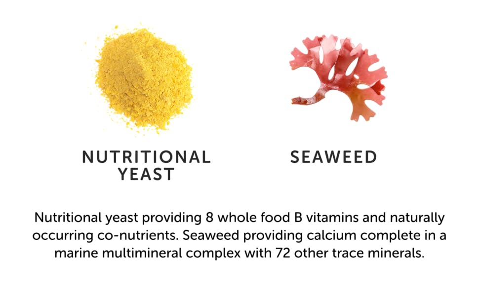 Together Vegan Multi 4