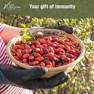 Small manufacture image 3