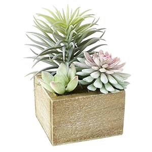 Small manufacture image 8