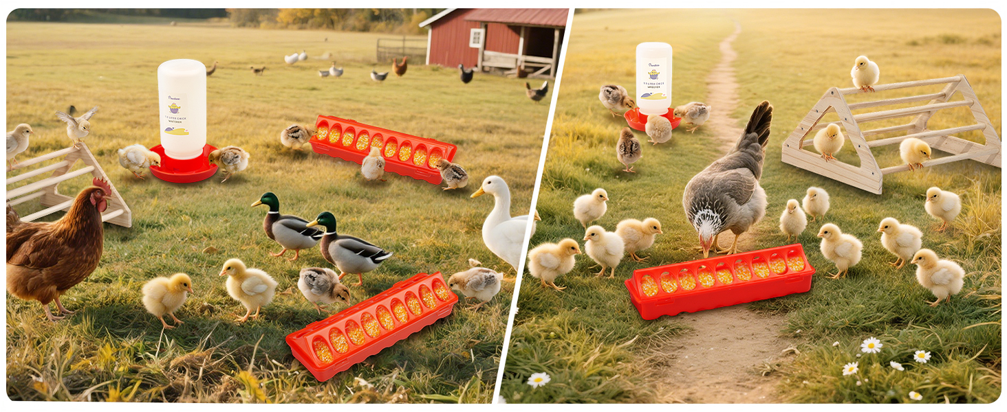 chicken brooder box for chick starter kit, pet cage tent, brooders heating plate