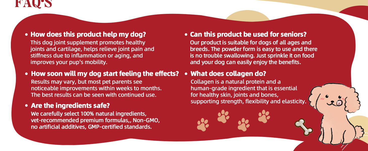 dog hip & joint care