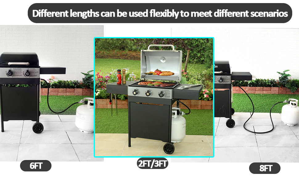 weber Propane Regulator and Hose