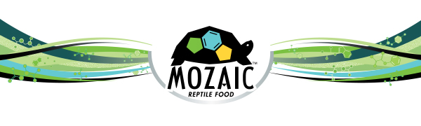 mozaic logo banner