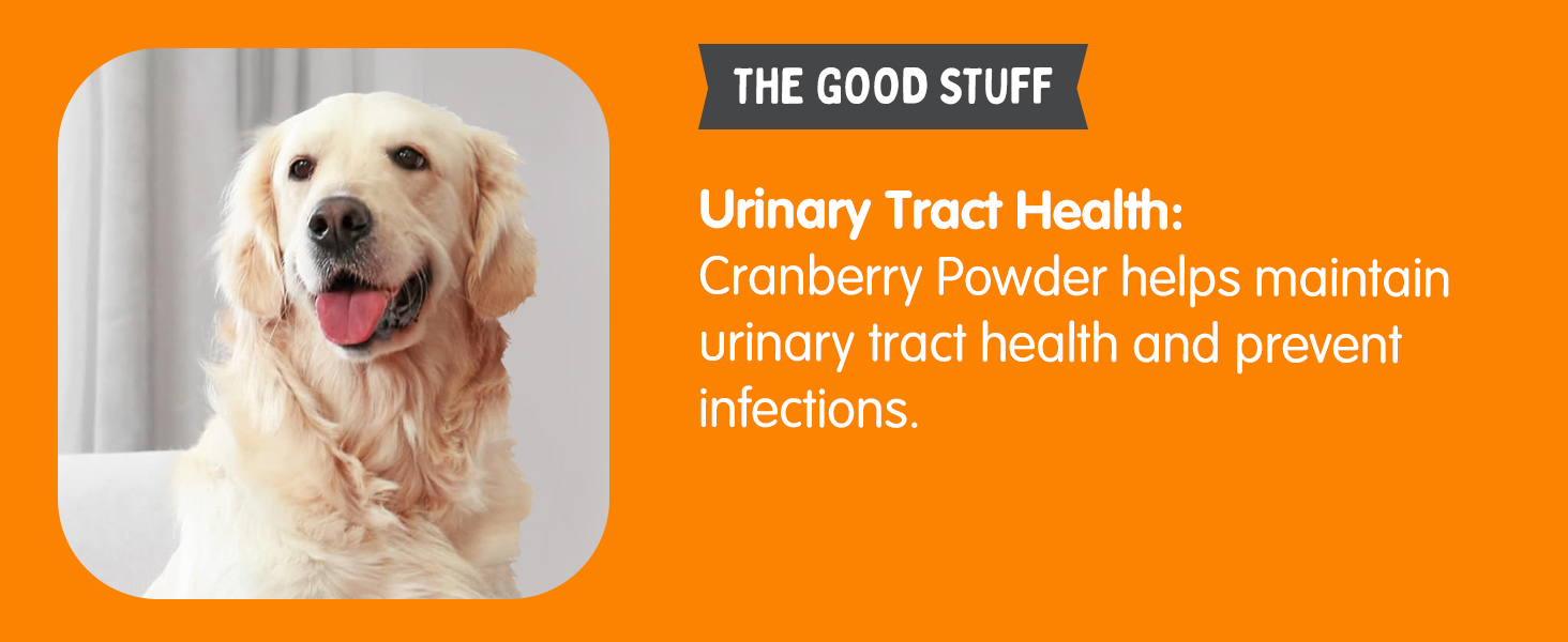 Multivitamin Chews A+4_3