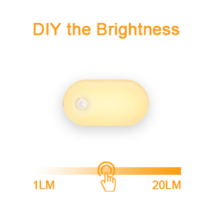 motion sensor night lights with brightnss adjustable