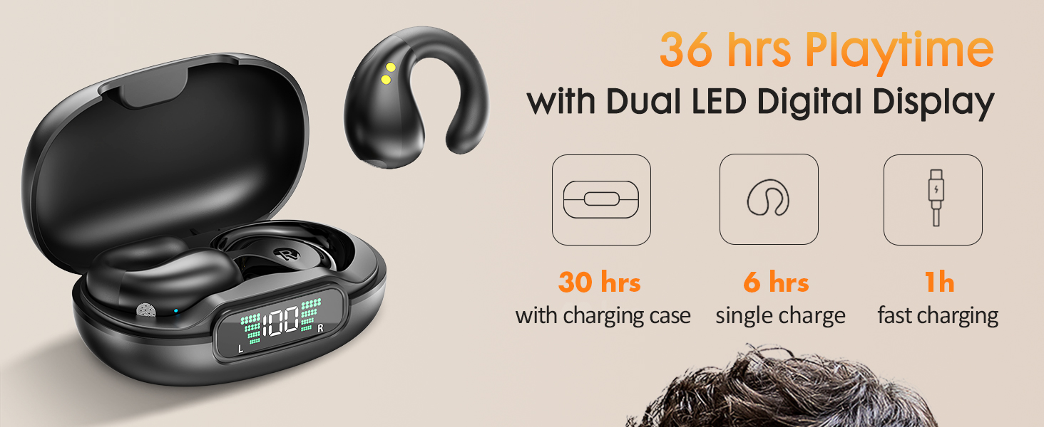 Dual LED Digital Display