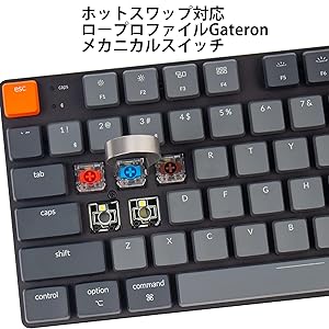 中古 Keychron K1 SE ホットスワップ対応 赤軸 薄型 US配列 OEM 染料サブPBTフルセットキーキャップセット - Pixel Universe