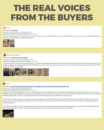 SOLAR DRIVEWAY LIGHTS