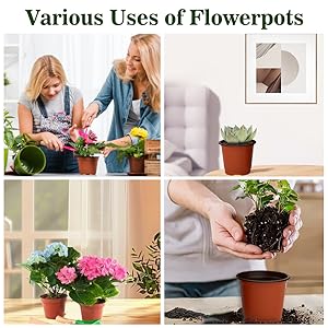 Amazon.com: Cidenbio Nursery Pots 100 PCS 4 Inch Plant Pots