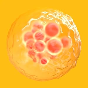 Test for pregnancy 5 days before your missed period. Confirm pregnancy early and quickly.