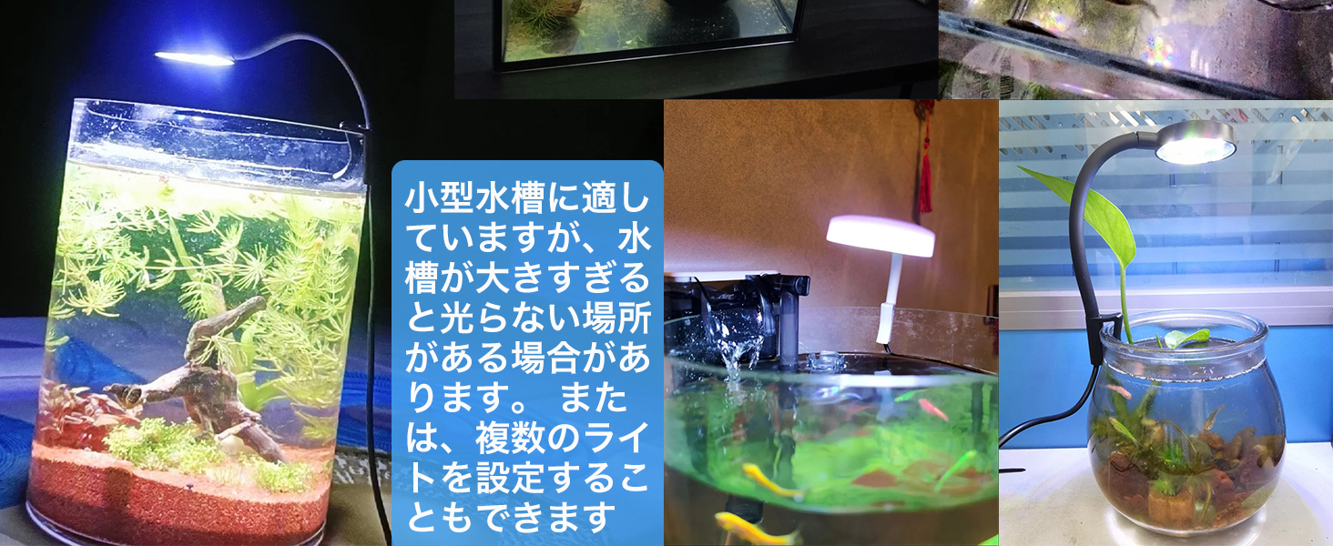 小さな水槽のクリップライト