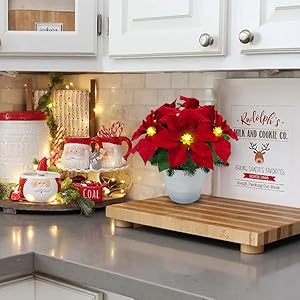 Poinsettias4