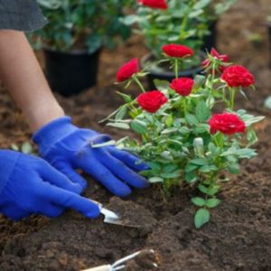 Small manufacture image 8