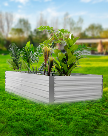 large garden bed BS illustration