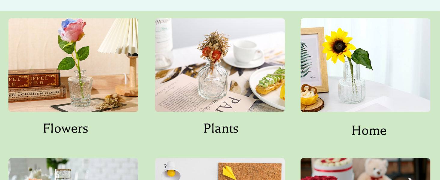 Glass Bud Vases
