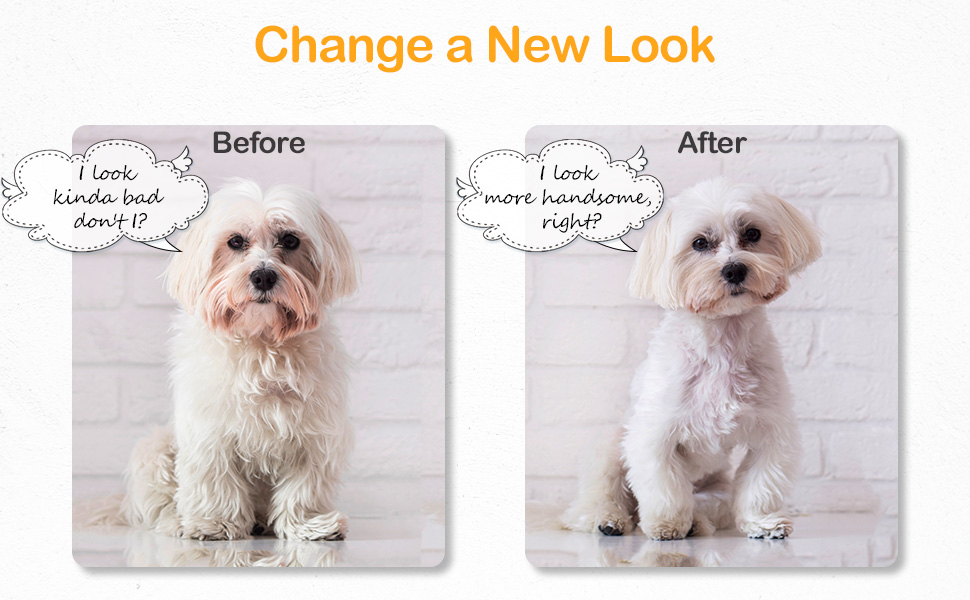 low noise pet hair clipper