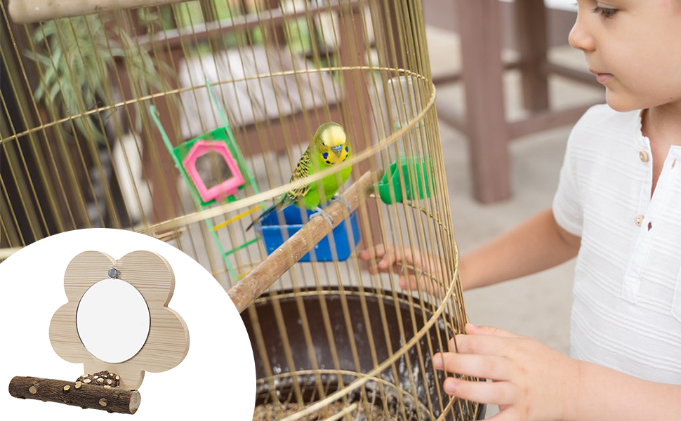 Vogelkäfig-Zubehör, das kreisförmige hölzerne Sitzstangenteile und Spielzeuge im Gebrauch zeigt.