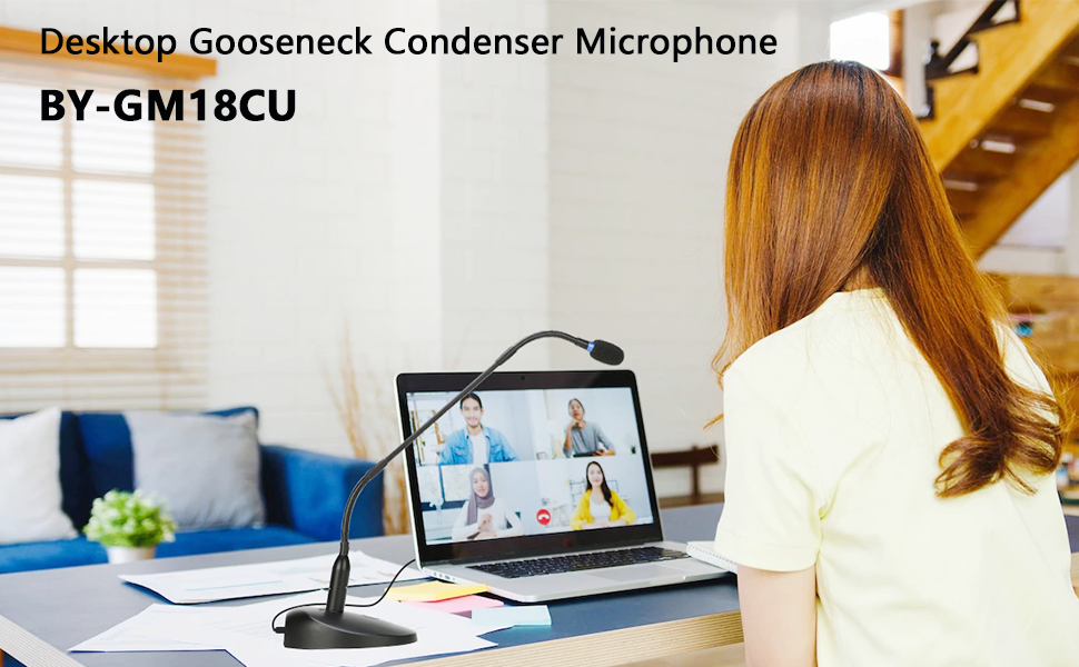 Desktop Gooseneck Condenser Microphone