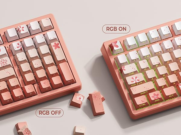 Amazon.com: XVX Cherry Blossoms PBT Keycaps, Double Shot