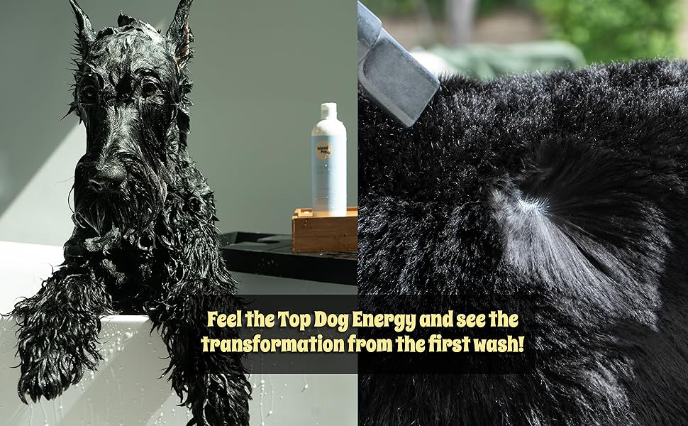 Islandpup all natural 5 in 1 dog shampoo before and after