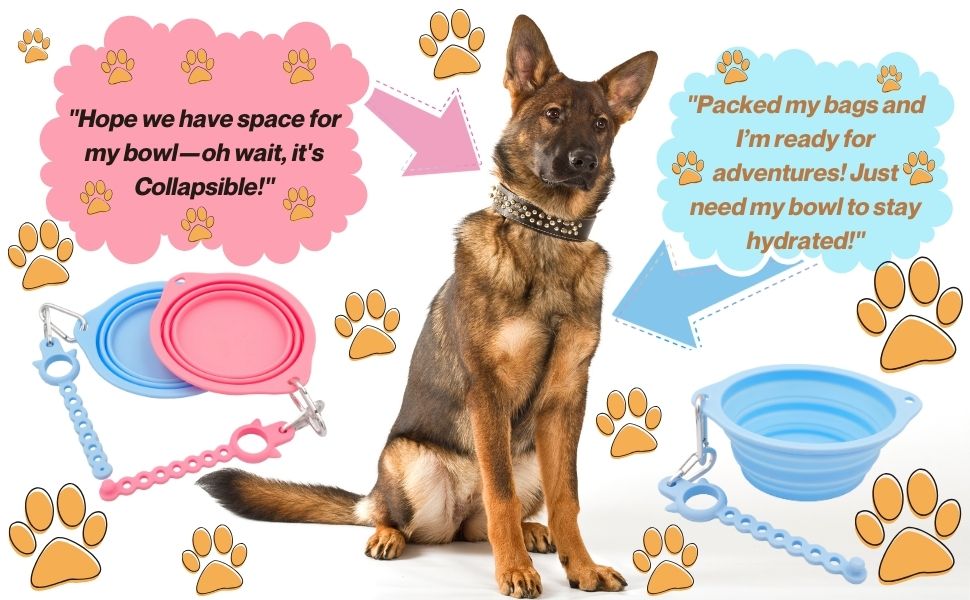 Collapsible Dog Bowl with Holder